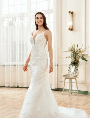 Plunging V-neck Silver Embroidered Lace Court Train Wedding Dress